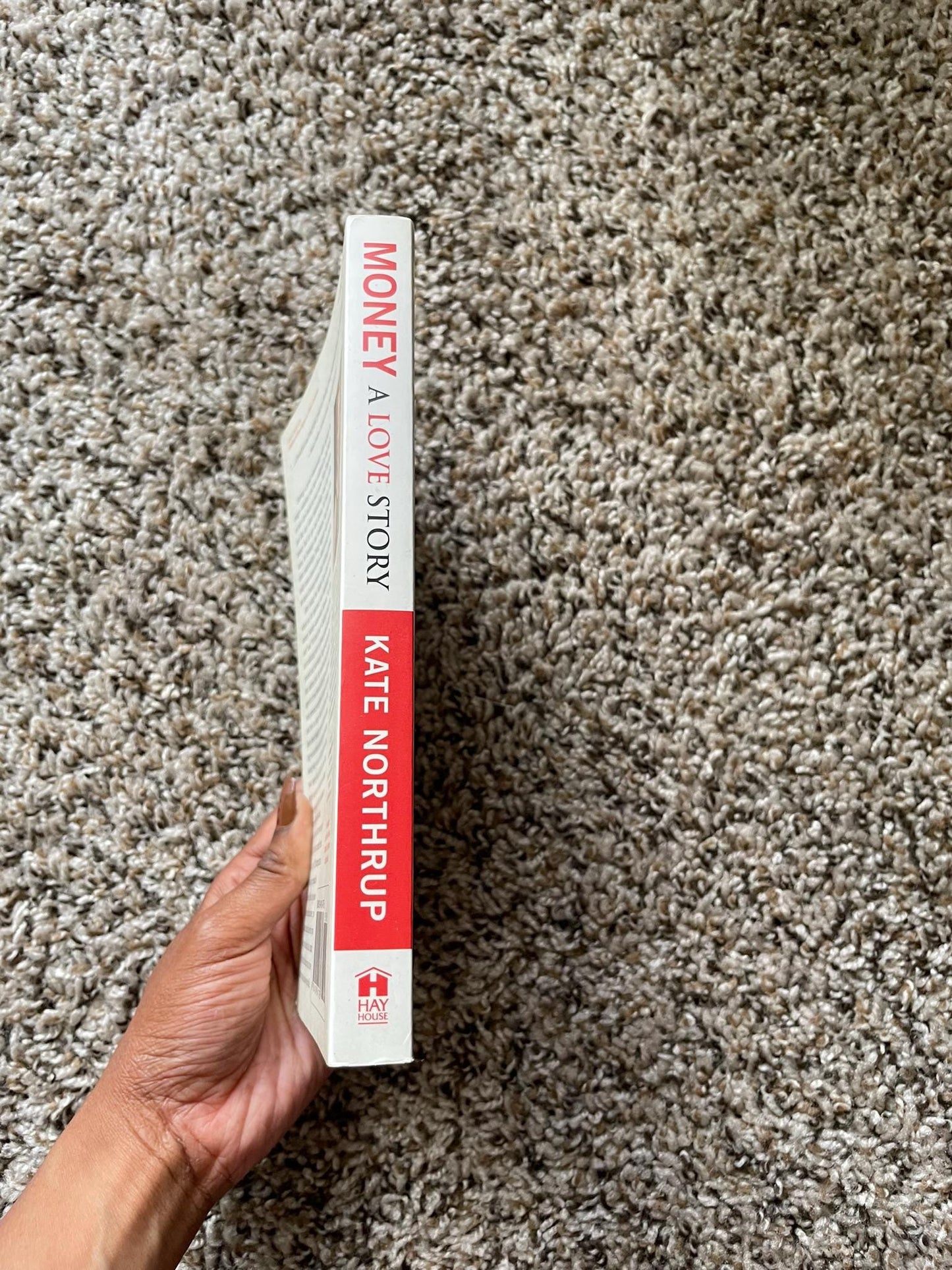 Money - A Love Story Paperback
